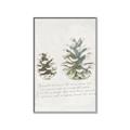 Picture of Pinecone Tidings II _GroupedProduct_Rectangle_Portrait_Canvas_Framed_