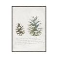 Picture of Pinecone Tidings II _GroupedProduct_Rectangle_Portrait_Canvas_Framed_