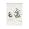 Picture of Pinecone Tidings II _GroupedProduct_Rectangle_Portrait_Canvas_Framed_