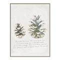 Picture of Pinecone Tidings II _GroupedProduct_Rectangle_Portrait_Canvas_Framed_