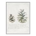Picture of Pinecone Tidings II _GroupedProduct_Rectangle_Portrait_Canvas_Framed_