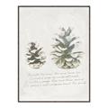 Picture of Pinecone Tidings II _GroupedProduct_Rectangle_Portrait_Canvas_Framed_