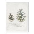 Picture of Pinecone Tidings II _GroupedProduct_Rectangle_Portrait_Canvas_Framed_
