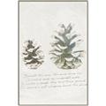 Picture of Pinecone Tidings II _GroupedProduct_Rectangle_Portrait_Canvas_Framed_
