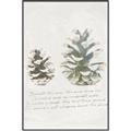 Picture of Pinecone Tidings II _GroupedProduct_Rectangle_Portrait_Canvas_Framed_