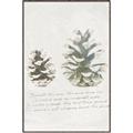Picture of Pinecone Tidings II _GroupedProduct_Rectangle_Portrait_Canvas_Framed_
