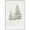 Picture of Winter Wonderland Trees _GroupedProduct_Rectangle_Portrait_Canvas_Framed_