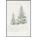 Picture of Winter Wonderland Trees _GroupedProduct_Rectangle_Portrait_Canvas_Framed_