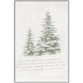 Picture of Winter Wonderland Trees _GroupedProduct_Rectangle_Portrait_Canvas_Framed_