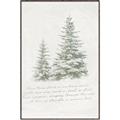 Picture of Winter Wonderland Trees _GroupedProduct_Rectangle_Portrait_Canvas_Framed_