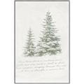 Picture of Winter Wonderland Trees _GroupedProduct_Rectangle_Portrait_Canvas_Framed_