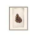 Picture of Nature's Holiday Charm I _GroupedProduct_Rectangle_Portrait_Canvas_Framed_