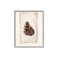 Picture of Nature's Holiday Charm I _GroupedProduct_Rectangle_Portrait_Canvas_Framed_