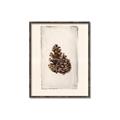 Picture of Nature's Holiday Charm I _GroupedProduct_Rectangle_Portrait_Canvas_Framed_