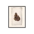Picture of Nature's Holiday Charm I _GroupedProduct_Rectangle_Portrait_Canvas_Framed_