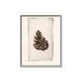 Picture of Nature's Holiday Charm I _GroupedProduct_Rectangle_Portrait_Canvas_Framed_