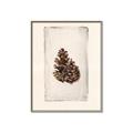 Picture of Nature's Holiday Charm I _GroupedProduct_Rectangle_Portrait_Canvas_Framed_