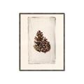 Picture of Nature's Holiday Charm I _GroupedProduct_Rectangle_Portrait_Canvas_Framed_
