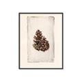 Picture of Nature's Holiday Charm I _GroupedProduct_Rectangle_Portrait_Canvas_Framed_