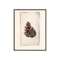 Picture of Nature's Holiday Charm I _GroupedProduct_Rectangle_Portrait_Canvas_Framed_