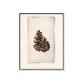 Picture of Nature's Holiday Charm I _GroupedProduct_Rectangle_Portrait_Canvas_Framed_