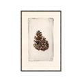 Picture of Nature's Holiday Charm I _GroupedProduct_Rectangle_Portrait_Canvas_Framed_