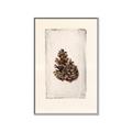 Picture of Nature's Holiday Charm I _GroupedProduct_Rectangle_Portrait_Canvas_Framed_