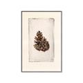 Picture of Nature's Holiday Charm I _GroupedProduct_Rectangle_Portrait_Canvas_Framed_