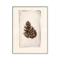 Picture of Nature's Holiday Charm I _GroupedProduct_Rectangle_Portrait_Canvas_Framed_