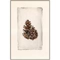 Picture of Nature's Holiday Charm I _GroupedProduct_Rectangle_Portrait_Canvas_Framed_