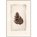 Picture of Nature's Holiday Charm I _GroupedProduct_Rectangle_Portrait_Canvas_Framed_