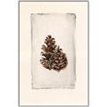 Picture of Nature's Holiday Charm I _GroupedProduct_Rectangle_Portrait_Canvas_Framed_