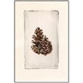 Picture of Nature's Holiday Charm I _GroupedProduct_Rectangle_Portrait_Canvas_Framed_