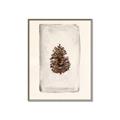 Picture of Nature's Holiday Charm II _GroupedProduct_Rectangle_Portrait_Canvas_Framed_