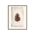 Picture of Nature's Holiday Charm II _GroupedProduct_Rectangle_Portrait_Canvas_Framed_