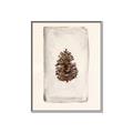 Picture of Nature's Holiday Charm II _GroupedProduct_Rectangle_Portrait_Canvas_Framed_