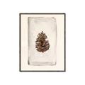 Picture of Nature's Holiday Charm II _GroupedProduct_Rectangle_Portrait_Canvas_Framed_