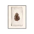 Picture of Nature's Holiday Charm II _GroupedProduct_Rectangle_Portrait_Canvas_Framed_