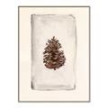 Picture of Nature's Holiday Charm II _GroupedProduct_Rectangle_Portrait_Canvas_Framed_