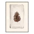 Picture of Nature's Holiday Charm II _GroupedProduct_Rectangle_Portrait_Canvas_Framed_