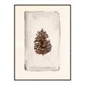 Picture of Nature's Holiday Charm II _GroupedProduct_Rectangle_Portrait_Canvas_Framed_