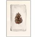 Picture of Nature's Holiday Charm II _GroupedProduct_Rectangle_Portrait_Canvas_Framed_
