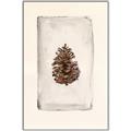 Picture of Nature's Holiday Charm II _GroupedProduct_Rectangle_Portrait_Canvas_Framed_