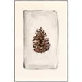 Picture of Nature's Holiday Charm II _GroupedProduct_Rectangle_Portrait_Canvas_Framed_