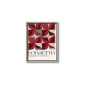Picture of Poinsettia _GroupedProduct_Rectangle_Portrait_Canvas_Framed_