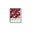 Picture of Poinsettia _GroupedProduct_Rectangle_Portrait_Canvas_Framed_