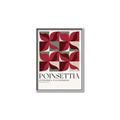 Picture of Poinsettia _GroupedProduct_Rectangle_Portrait_Canvas_Framed_