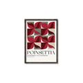 Picture of Poinsettia _GroupedProduct_Rectangle_Portrait_Canvas_Framed_