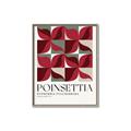 Picture of Poinsettia _GroupedProduct_Rectangle_Portrait_Canvas_Framed_