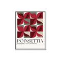 Picture of Poinsettia _GroupedProduct_Rectangle_Portrait_Canvas_Framed_